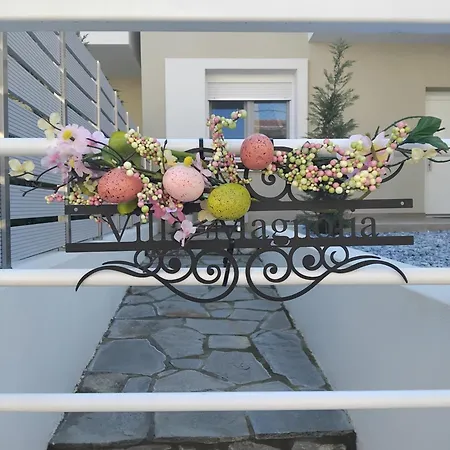 Magnolia *
