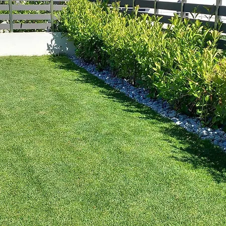 וילה Magnolia Nea Iraklitsa