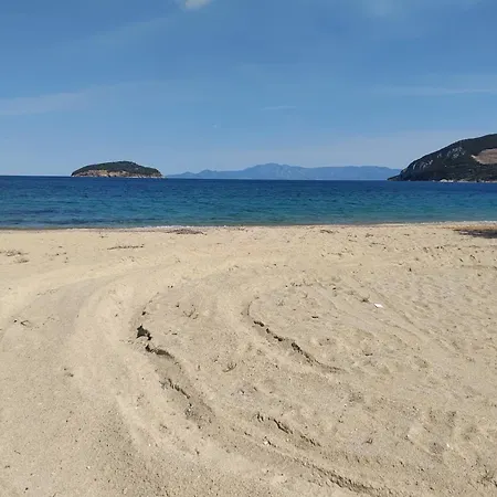 Magnolia Nea Iraklitsa