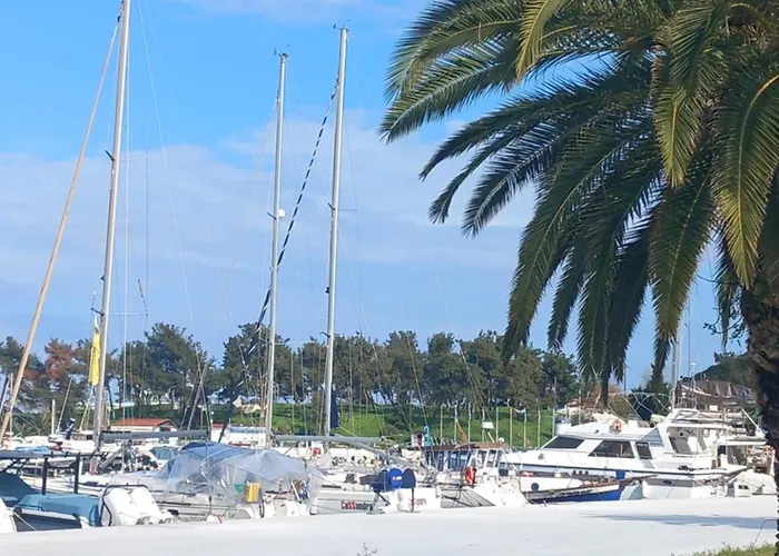 Magnolia * Nea Iraklitsa